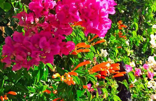 Finca Aurora quiet holiday flat with pool and great mountain and sea views - Foto 27