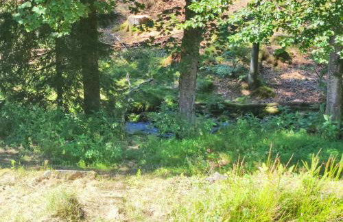 Helga's Candy Ranch - Foto 20