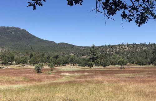 Cabin Getaway near to Pine, Arizona that is Perfect for a Family Vacation - Foto 25