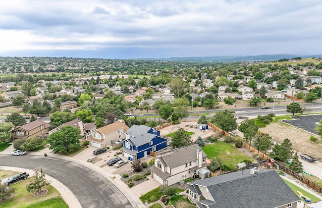 Shirley's Temple - Foto 43