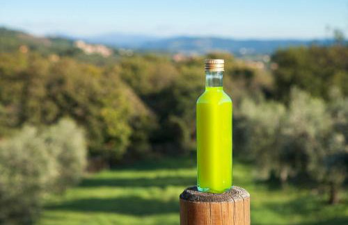 Poggio Diavolino - Suvereto - Foto 60