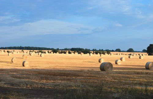 Kulturfreizeiten Ferienwohnungen - Photo 46