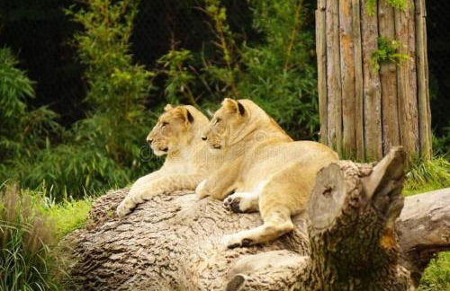 Stargazers' Retreat A Tiny Home on the Riverside - Photo 68