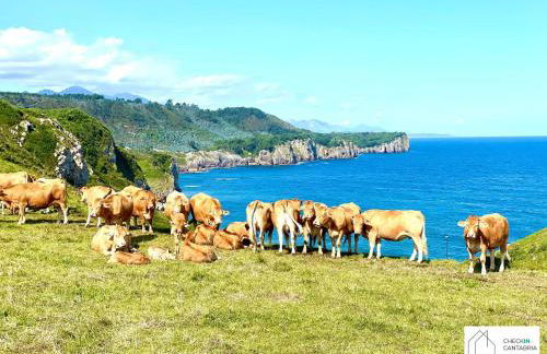 Apartamento Aventuras - Foto 47