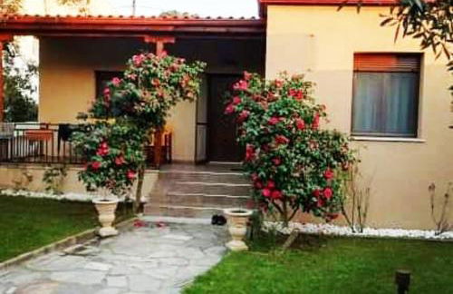 John and Tania's Garden - Photo 2