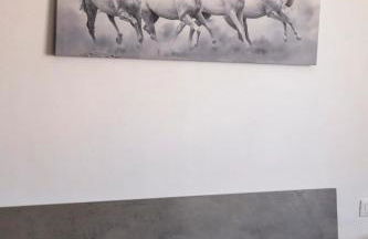 Chiwi's Home 2 - Photo 17