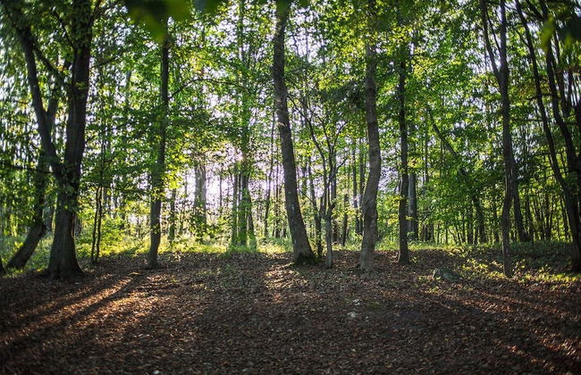 Agroturystyka u przyjaciol Soni - Foto 64