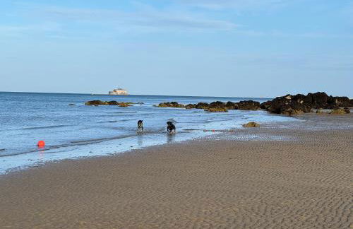 Suzetta Cottage - Photo 56