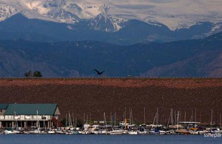 The Cozy nest - Foto 2