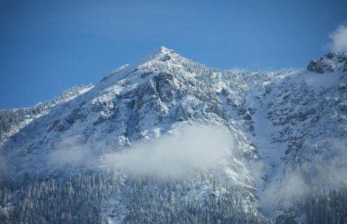 Ferienwohnung zum Hirschgarten - Foto 17