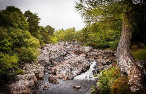 The High Croft - Foto 34