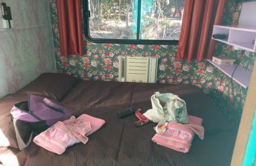 Barco Casa Pantanal Toca da Onça - Photo 9