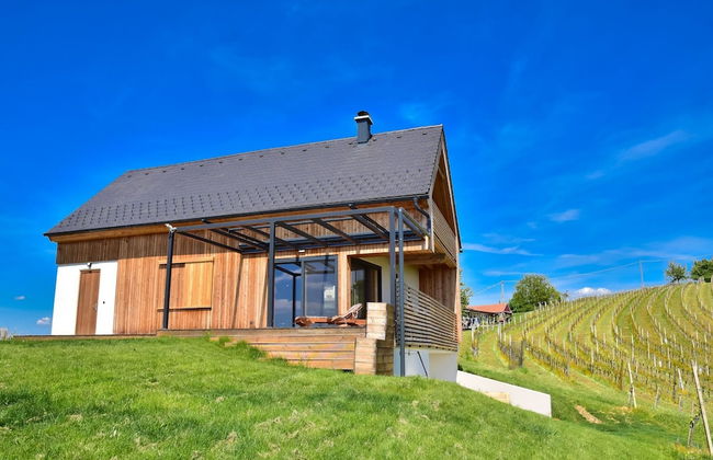 Vineyard Eco House Vukan - Photo 17