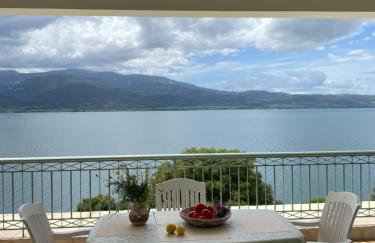 sparton amfilohias παραθαλάσσιο εξοχικό Filoxenia - Foto 49