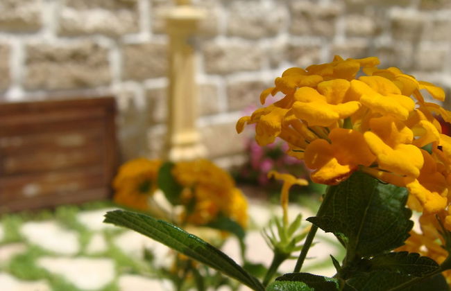 Guest House Al Gattopardo - Photo 20