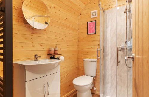 Blaenplwyf Shire Pods - Foto 43