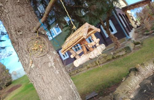 Ferienwohnung Koitscheblick - Foto 15