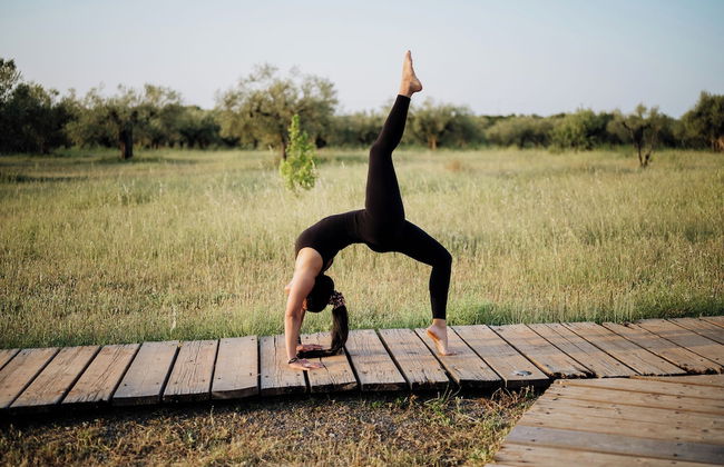 eumelia organic agrotourism farm - Photo 77