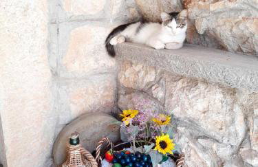 Traditional mediterranean villa - Foto 44