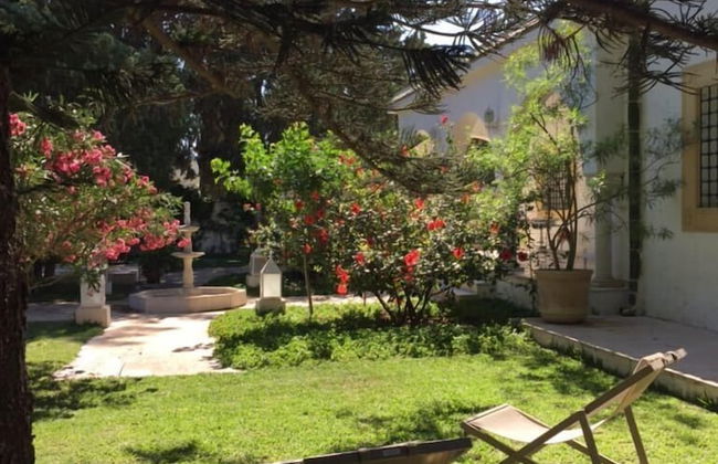 Dar Miramar - Foto 42