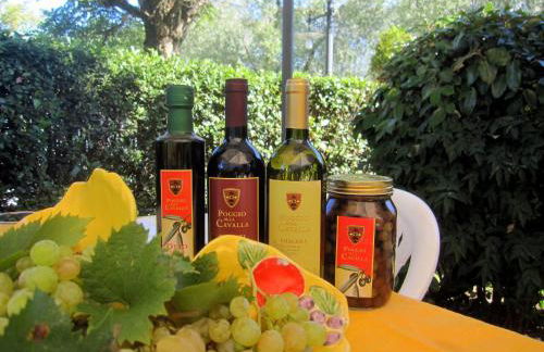 Apartment Anwesen mit Schwimmbad by Interhome - Foto 38