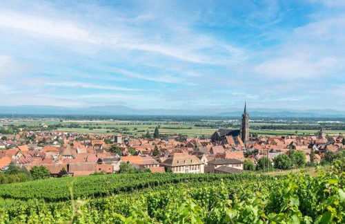 Apartment in Dambach near Vineyards - Foto 23