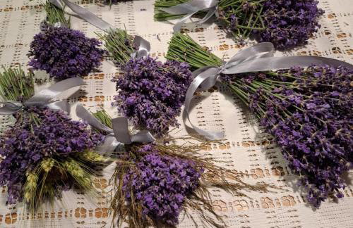 Odpocznij u Ani - Foto 7