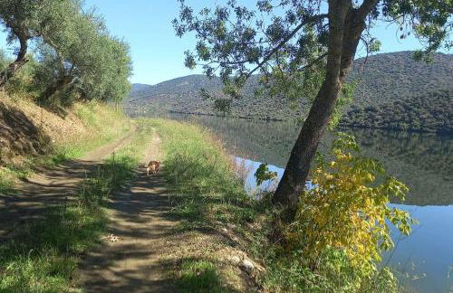 Casa de Freixo - Foto 40