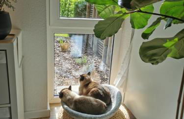 Separate Privat Room in shared Apartment with 2 cats and 1 person - Foto 16