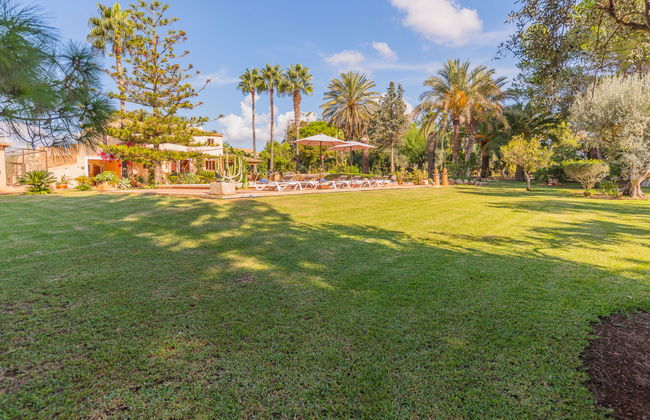 Ses Sitjoles - Foto 11