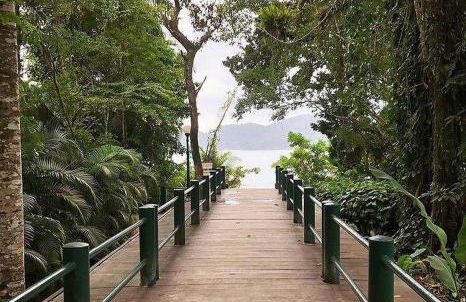 Espaço jasmim manga - Foto 30