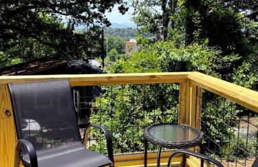 Tiny House Rental in Asheville, NC - The Bat Shack - Foto 34