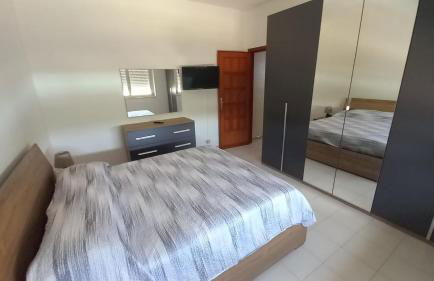 Lemon Gold - Foto 17