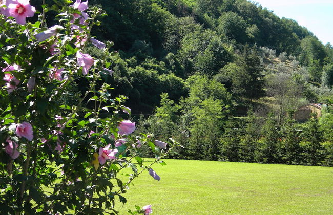 Podere Campofossato - Photo 29