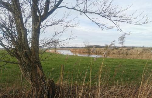 Ferienwohnung 1 Nordsee Gulfhof Dornum - mit großem Garten - Photo 4