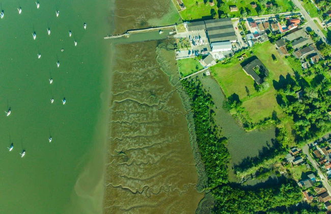 Morretes & Antonina Day Trip by Train - Photo 8