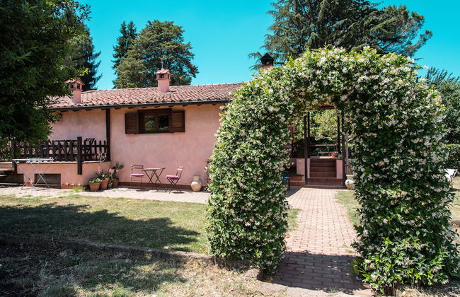 Olive Tree Hill - Foto 1