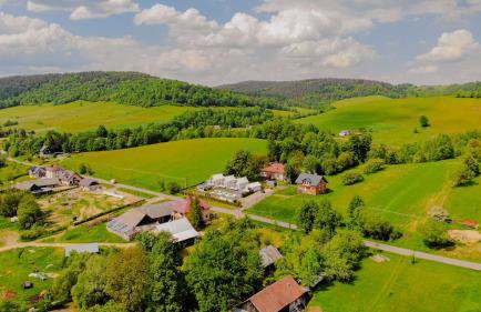 Bieszczadzkie Anioły Domki całoroczne - Foto 30