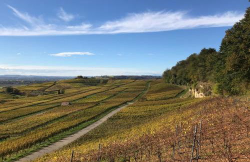 kleine Schwarzwaldlodge - Foto 23