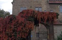 Ferienwohnung Elias - Foto 30