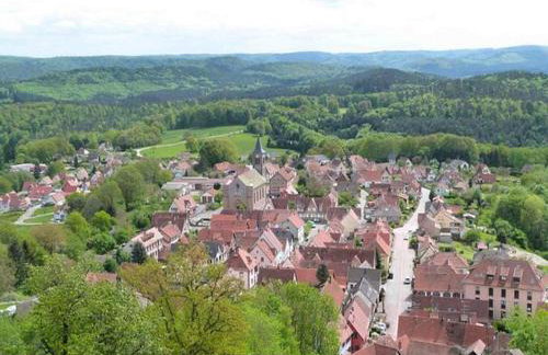 Holiday Home in Reipertswiller Near Castle - Foto 56