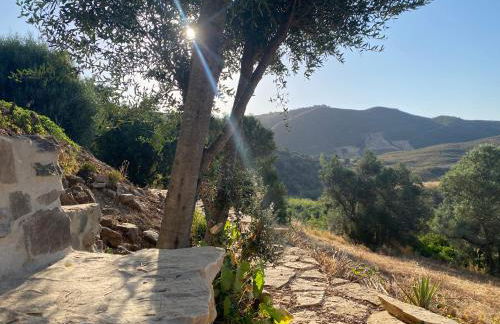 Malhada do Sao - Foto 59