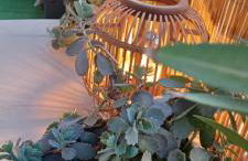 115m2 K.G HOME - Foto 39