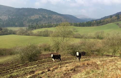 The Shippen - Open-plan barn conversion, high-spec, stunning views - Foto 47
