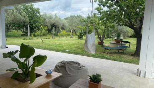 Casa RiVa - Among olive trees and the Tuscan coast - Foto 3