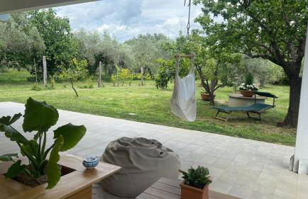 Casa RiVa - Among olive trees and the Tuscan coast - Foto 3
