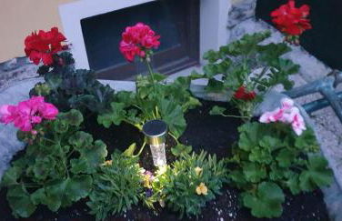 Casa Ramus Valle Camonica a 30 km dal Passo Tonale - Foto 68