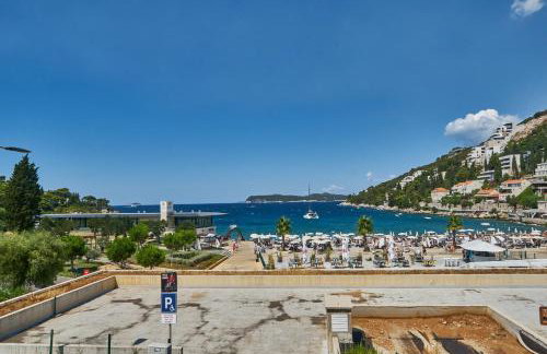 Aspidistra Shadow - Foto 25