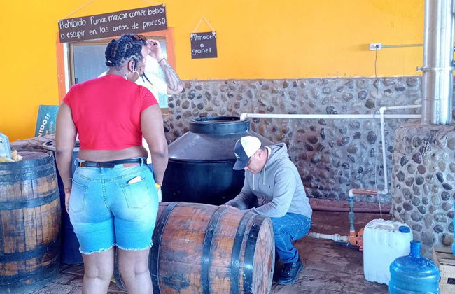 Visita del Rancho Mr. Lionso + Degustazione di mescal - Foto 8