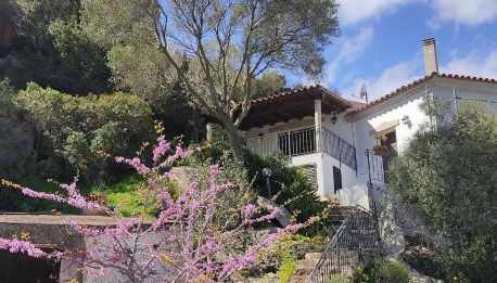 Belvedere Apartment Ac, Budoni - Foto 4